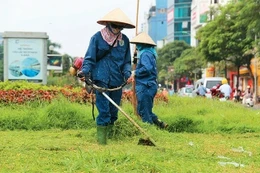 Điểm tin kế hoạch lựa chọn nhà thầu một số gói thầu lớn ngày 19 - 21/12/2025