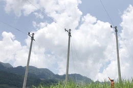 Lựa chọn nhà thầu dự án di chuyển đường dây 110kV gần 168 tỷ đồng