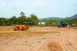 Ảnh minh họa (Ảnh: Tâm An)