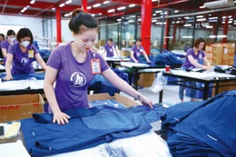 Trong quý IV/2025, 65% doanh nghiệp đánh giá tình hình kinh doanh hiện tại là tích cực. Ảnh minh họa: Lê Tiên