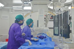Điểm tin kế hoạch lựa chọn nhà thầu một số gói thầu lớn ngày 12/8/2025