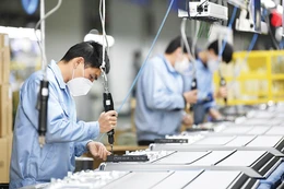 Ảnh minh họa: Internet