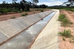 Điểm tin kế hoạch lựa chọn nhà thầu một số gói thầu lớn ngày 10/12/2025