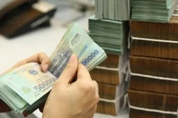 Các trái phiếu chính quyền địa phương có chung đặc điểm kỳ hạn phát hành dài, lãi suất huy động chịu giới hạn trong định mức khung và nguồn trả nợ phụ thuộc vào ngân sách địa phương tại thời điểm đến hạn. Ảnh minh họa: Internet