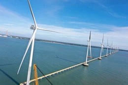 Vĩnh Long: 2 nhà đầu tư đáp ứng yêu cầu làm nhà máy điện gió 2.546 tỷ đồng