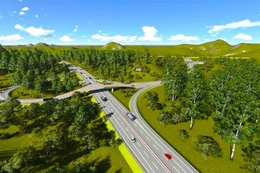 Ảnh minh họa: Internet