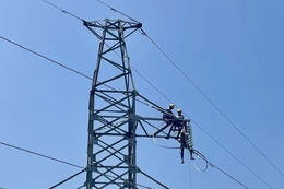 EVNSPC đầu tư dự án truyền tải điện gần 252 tỷ đồng tại Cà Mau