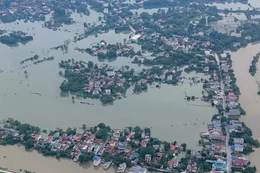 Hà Nội: Đấu thầu lại gói thầu xây lắp tuyến đê Hữu Đáy