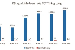 Nguồn: Báo cáo tài chính hợp nhất doanh nghiệp. Đơn vị tính: Tỷ đồng