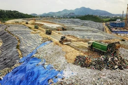 Ảnh chỉ mang tính minh họa: Internet