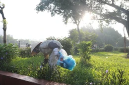 Hà Nội: 3 nhà thầu cạnh tranh gói thầu vệ sinh môi trường phường Tương Mai