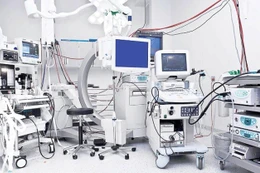 Ảnh chỉ mang tính minh họa: Internet