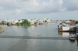 Cà Mau: Mở thầu 2 gói xây lắp trăm tỷ thuộc dự án cầu Nguyễn Đình Chiểu