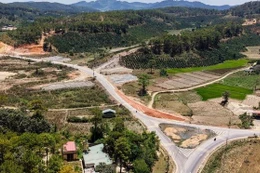 Lăng kính đấu thầu ngày 8/1/2026