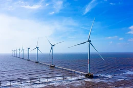 Cà Mau chấp thuận đầu tư nhà máy điện gió hơn 2.000 tỷ đồng