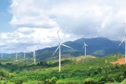 4/4 nhà đầu tư không đạt yêu cầu làm dự án điện gió SCI Tân Thành hơn 1.262 tỷ đồng