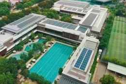 Ảnh minh họa: Internet