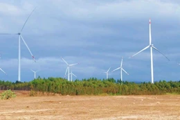 Gia Lai gọi đầu tư vào 4 dự án nhà máy điện gió hơn 6.900 tỷ đồng