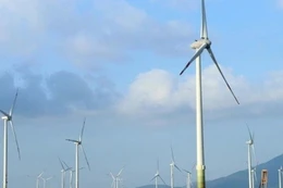 Quảng Trị: Điện gió Phong Liệu đăng ký thực hiện Dự án nhà máy điện gió 1.400 tỷ đồng