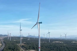 Gia Lai: Một nhà đầu tư đăng ký thực hiện Dự án điện gió Vân Canh 1 gần 6.905 tỷ đồng