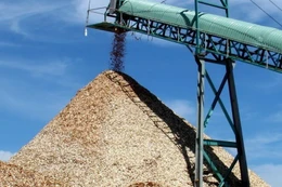 Thanh Hóa chấp thuận nhà đầu tư dự án nhà máy viên nén gỗ tại xã Xuân Bình