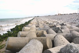 Điểm tin kế hoạch lựa chọn nhà thầu một số gói thầu lớn ngày 8/12/2025