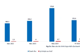 Kết quả kinh doanh của AIRIMEX