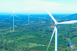 Lộ diện nhà đầu tư muốn thực hiện Dự án Nhà máy Điện gió Chư Pơng hơn 1.616 tỷ đồng