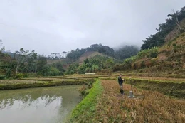 Chọn thầu giải phóng mặt bằng cụm công trình thủy lợi Bắc Kạn trong quý III/2026