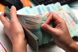 DECOFI muốn huy động 100 tỷ đồng từ phát hành riêng lẻ để trả nợ