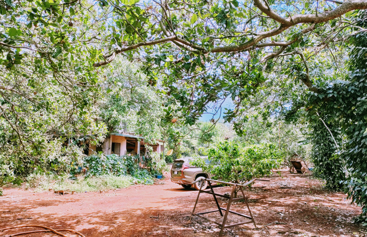 Những lô đất rẫy cũng được mua bán rất nhanh, dù giá trị những lô đất ấy toàn tiền tỷ. Ảnh: Gia An