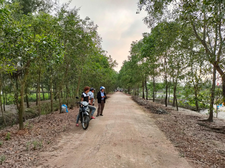 Những lô đất có giá từ 60-70 triệu đồng trên mỗi mét ngang đang được nhiều khách ở xa đến &quot;săn&quot;. Ảnh: Ngô Bảo Tín