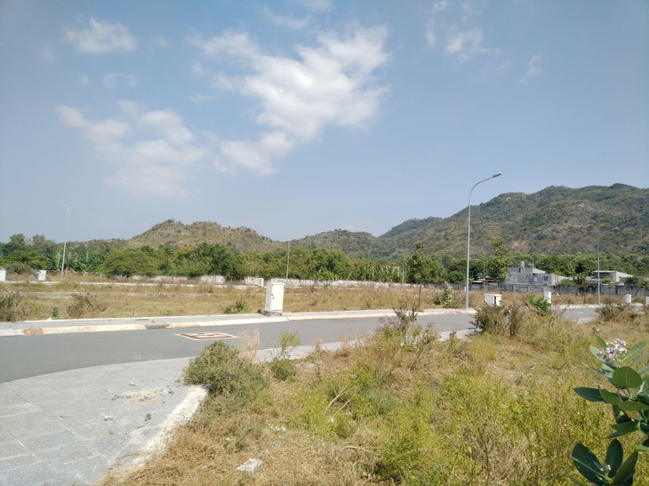 Khách hàng thường tìm về các tỉnh vùng ven để &quot;săn&quot; đất nền. Ảnh: Ngô Bảo Tín