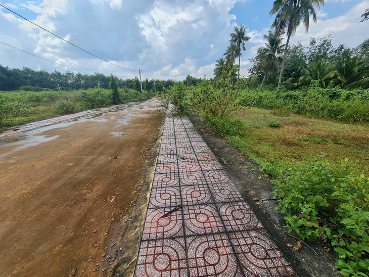 Qua kiểm tra và đối chiếu, tất cả 105 trường hợp hiến đất làm đường nêu trên đều không phù hợp với kế hoạch sử dụng đất hàng năm, quy hoạch sử dụng đất đến năm 2020 đã được phê duyệt của thị xã Bình Long. Ảnh: Bảo Tín