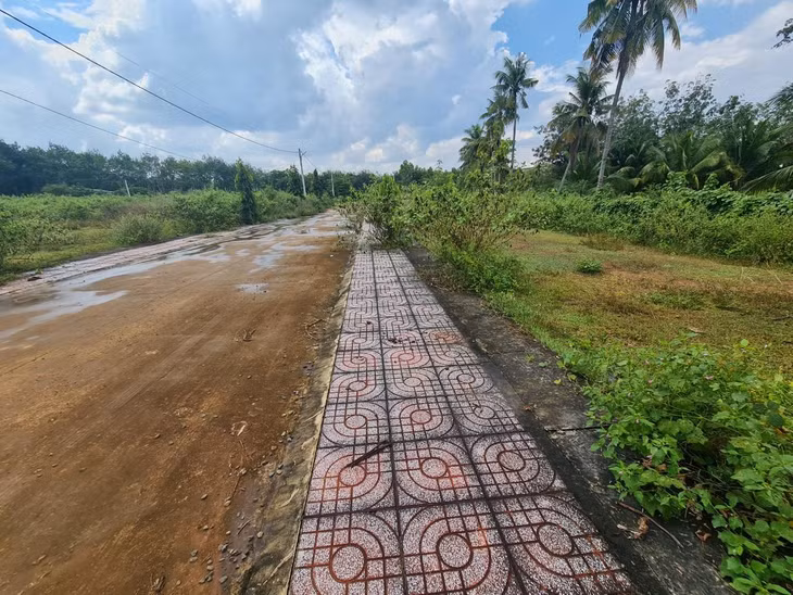 Qua kiểm tra và đối chiếu, tất cả 105 trường hợp hiến đất làm đường nêu trên đều không phù hợp với kế hoạch sử dụng đất hàng năm, quy hoạch sử dụng đất đến năm 2020 đã được phê duyệt của thị xã Bình Long. Ảnh: Bảo Tín