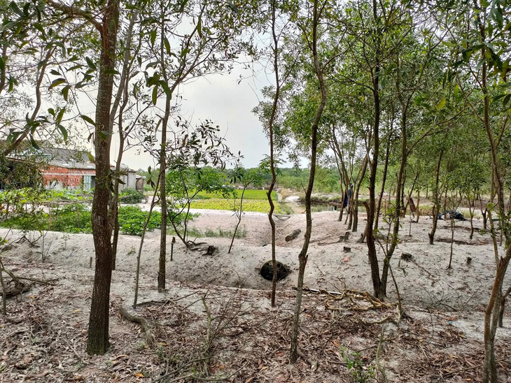 Từ khi việc sốt đất bùng lên, một số gia đình có vườn rộng đã phân lô ra để bán. Ảnh minh họa: Gia An