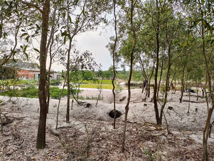 Từ khi việc sốt đất bùng lên, một số gia đình có vườn rộng đã phân lô ra để bán. Ảnh minh họa: Gia An