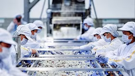 S&P Global: Ngành sản xuất của Việt Nam duy trì tăng trưởng trong tháng 9