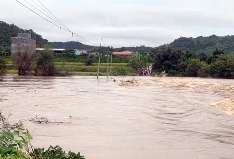 Ngân hàng Thế giới đã phê duyệt cung cấp khoản vay gần 145 triệu USD tăng khả năng chống lũ tại Đà Nẵng, Gia Lai. Ảnh minh họa