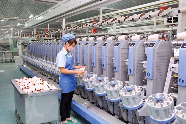 Đấu giá quyền sử dụng đất, nhà xưởng và toàn bộ hệ thống dây chuyền máy móc sản xuất sợi dệt tại xã Cẩm Tú, tỉnh Thanh Hóa. Ảnh minh họa: Internet