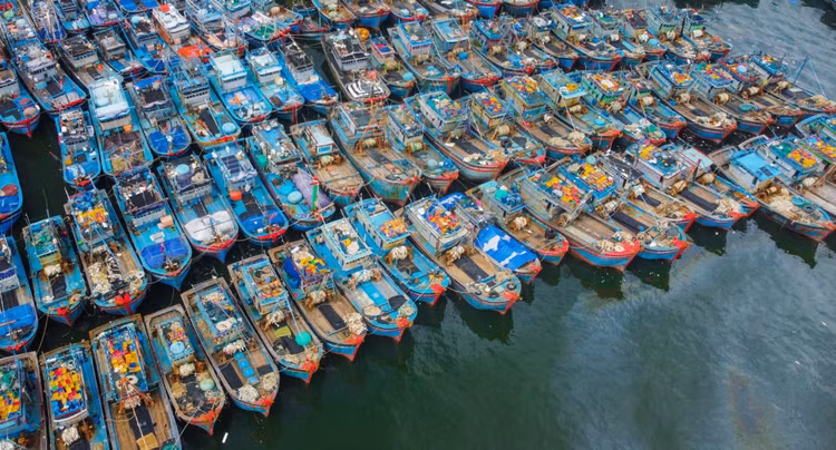 Bộ đội Biên phòng cũng phối hợp với các đơn vị hướng dẫn, sắp xếp tàu thuyền neo đậu an toàn tại Âu thuyền Thọ Quang và vịnh Mân Quang