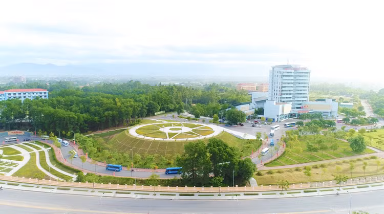 Ảnh chỉ mang tính minh họa. Nguồn Internet