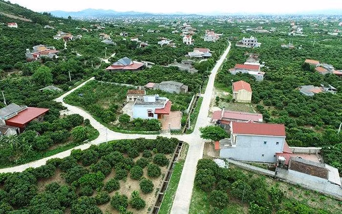 Ảnh chỉ mang tính minh họa. Nguồn Internet