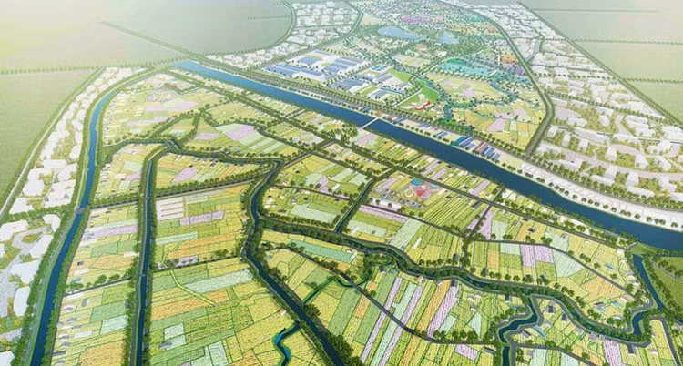 Việc công bố danh mục được thực hiện bằng việc đăng trên cổng thông tin điện tử cấp tỉnh, Hệ thống mạng đấu thầu quốc gia và đăng công khai trên Báo Đấu thầu.