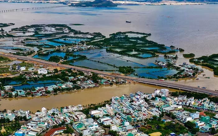 Ảnh minh họa: Internet