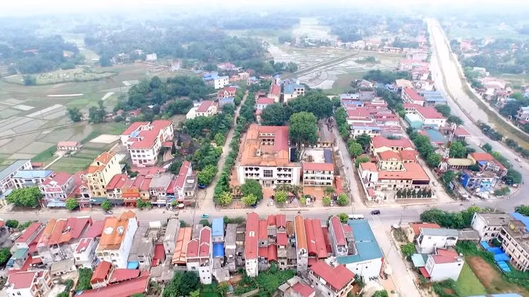 Ảnh chỉ mang tính minh họa. Nguồn Internet