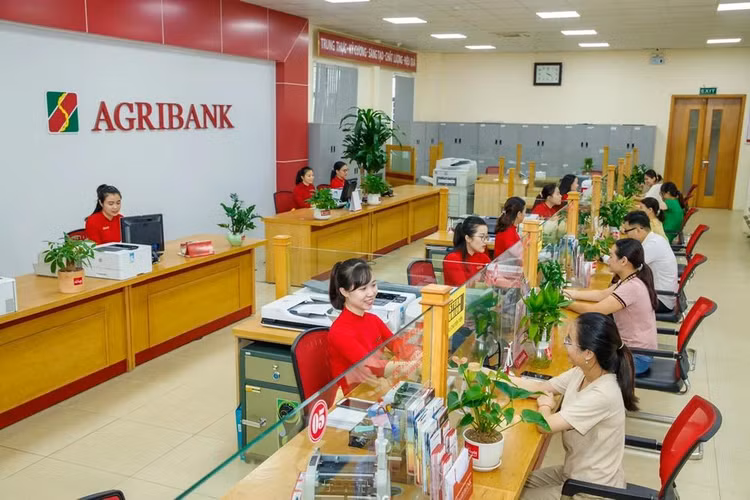 Agribank đấu giá khoản nợ hơn 92 tỷ đồng của Sài Gòn Mancare. Ảnh minh họa: Internet