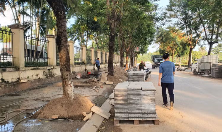 Ảnh chỉ mang tính minh họa. Nguồn Internet