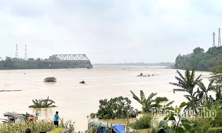Sáng 9/9/2024 đã xảy ra sự cố sập nhịp cầu Phong Châu qua sông Thao trên địa bàn tỉnh Phú Thọ - Ảnh: Báo Phú Thọ