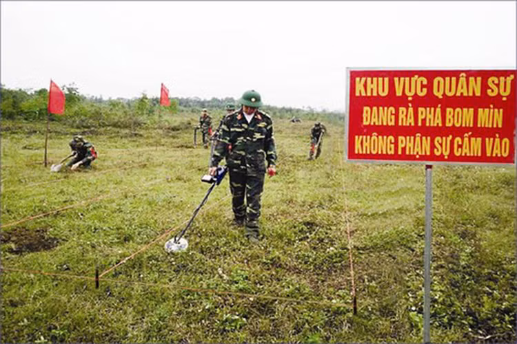 Ảnh chỉ mang tính minh họa. Nguồn Internet